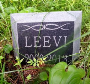hautakivi laatta